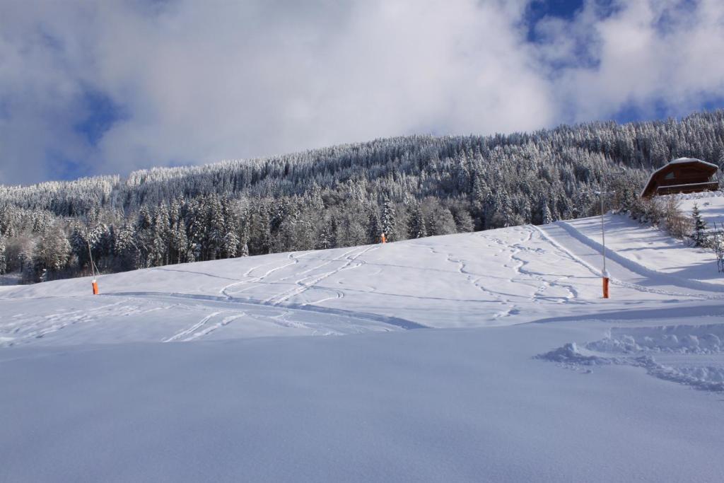 Hotel Chalet Les Airelles Les Carroz d'Araches Exterior foto